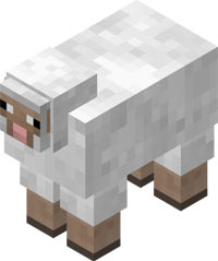 Sheep (ovca)